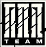 Logo TEAM